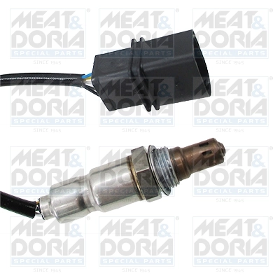 Oxygen Sensor